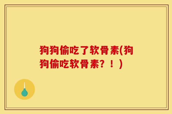 狗狗偷吃了软骨素(狗狗偷吃软骨素？！)
