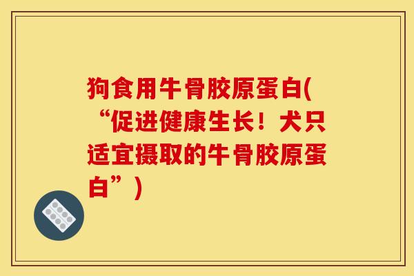 狗食用牛骨胶原蛋白(“促进健康生长！犬只适宜摄取的牛骨胶原蛋白”)
