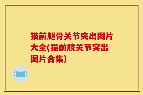 猫前腿骨关节突出图片大全(猫前肢关节突出图片合集)