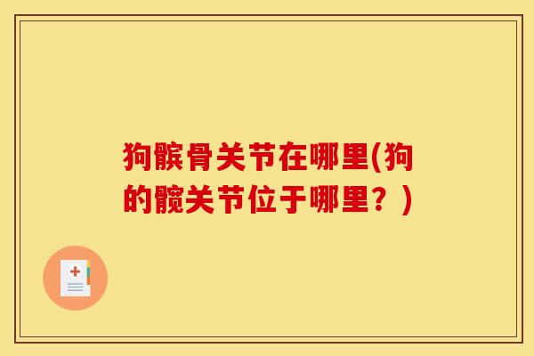 狗髌骨关节在哪里(狗的髋关节位于哪里？)