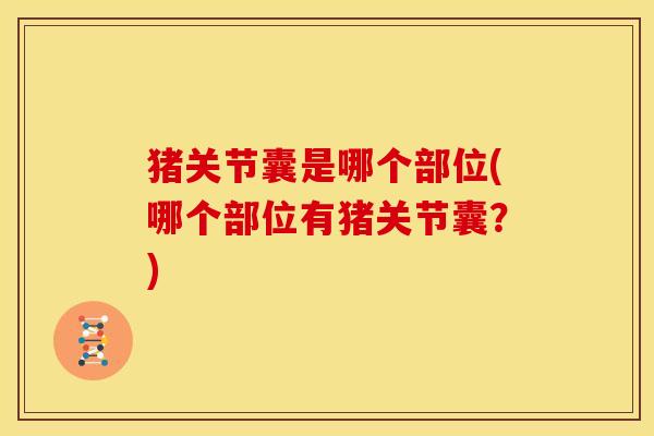 猪关节囊是哪个部位(哪个部位有猪关节囊？)