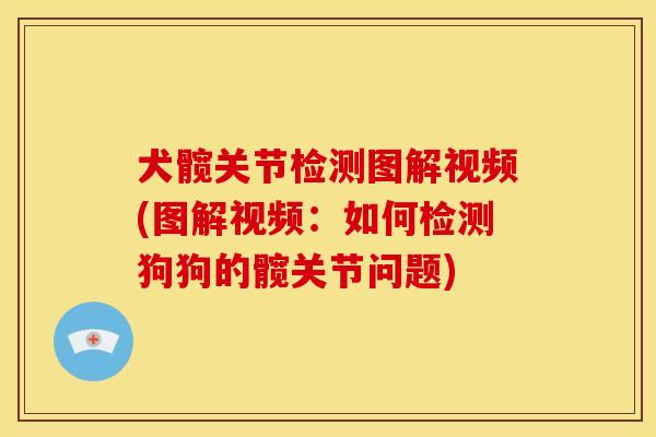 犬髋关节检测图解视频(图解视频：如何检测狗狗的髋关节问题)