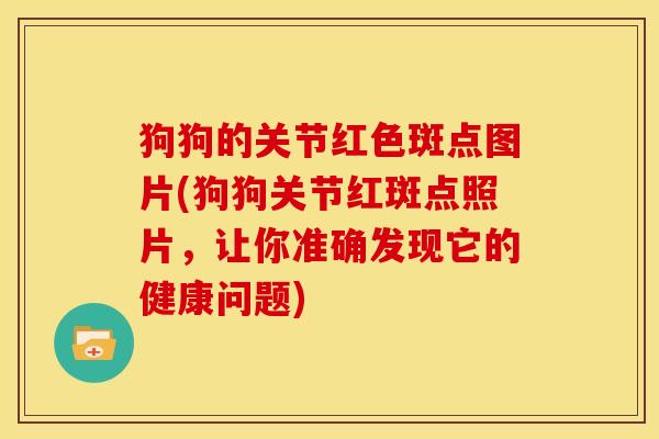 狗狗的关节红色斑点图片(狗狗关节红斑点照片，让你准确发现它的健康问题)