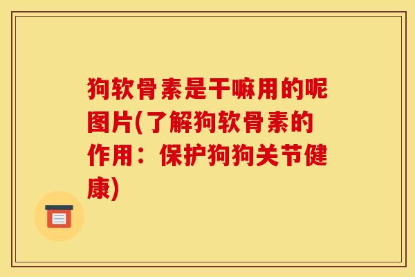 狗软骨素是干嘛用的呢图片(了解狗软骨素的作用：保护狗狗关节健康)