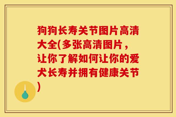 狗狗长寿关节图片高清大全(多张高清图片，让你了解如何让你的爱犬长寿并拥有健康关节)