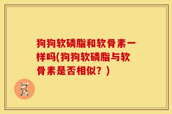 狗狗软磷脂和软骨素一样吗(狗狗软磷脂与软骨素是否相似？)