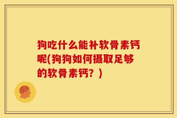 狗吃什么能补软骨素钙呢(狗狗如何摄取足够的软骨素钙?) 狗吃什么能补软骨素钙呢(狗狗如何摄取足够的软骨素钙?)