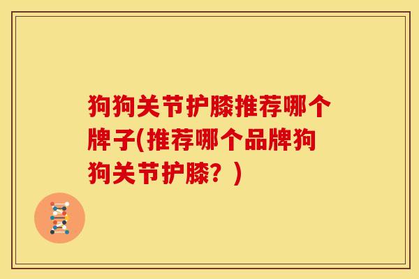 狗狗关节护膝推荐哪个牌子(推荐哪个品牌狗狗关节护膝？)