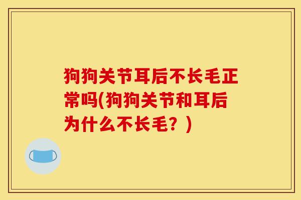 狗狗关节耳后不长毛正常吗(狗狗关节和耳后为什么不长毛？)