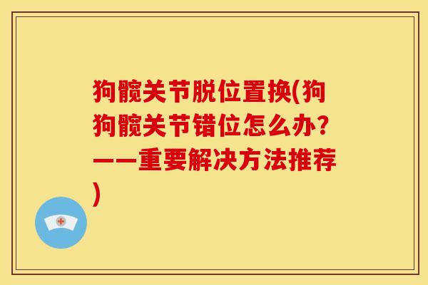 狗髋关节脱位置换(狗狗髋关节错位怎么办？——重要解决方法推荐)