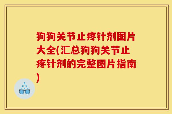 狗狗关节止疼针剂图片大全(汇总狗狗关节止疼针剂的完整图片指南)