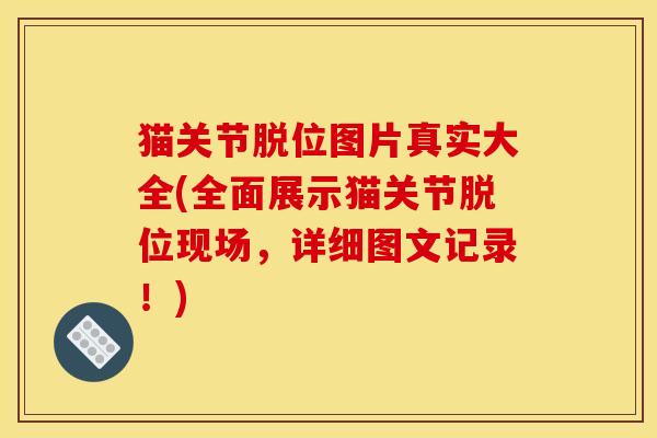 猫关节脱位图片真实大全(全面展示猫关节脱位现场，详细图文记录！)