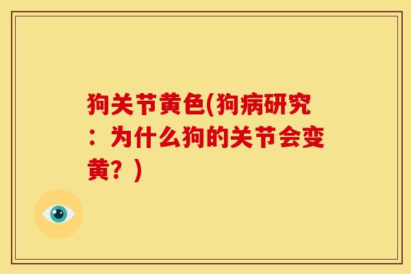 狗关节黄色(狗病研究：为什么狗的关节会变黄？)