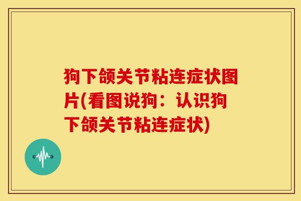 狗下颌关节粘连症状图片(看图说狗：认识狗下颌关节粘连症状)