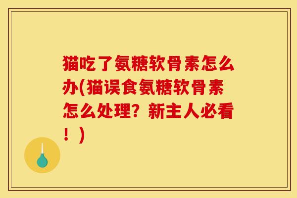 猫吃了氨糖软骨素怎么办(猫误食氨糖软骨素怎么处理？新主人必看！)
