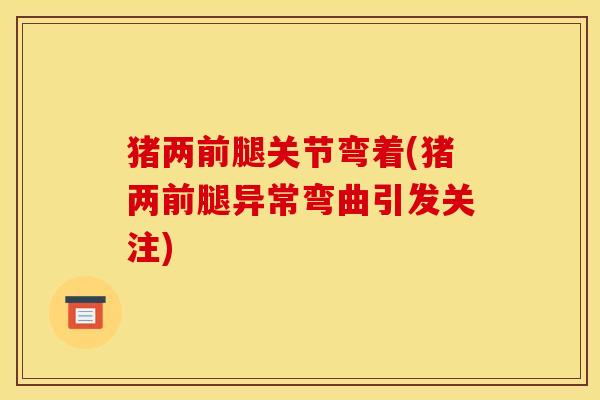 猪两前腿关节弯着(猪两前腿异常弯曲引发关注)