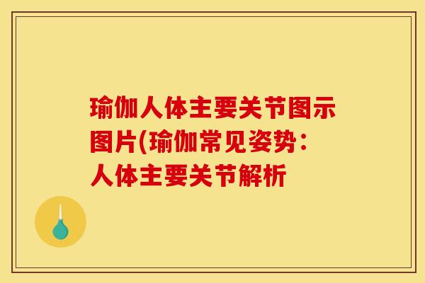 瑜伽人体主要关节图示图片(瑜伽常见姿势：人体主要关节解析