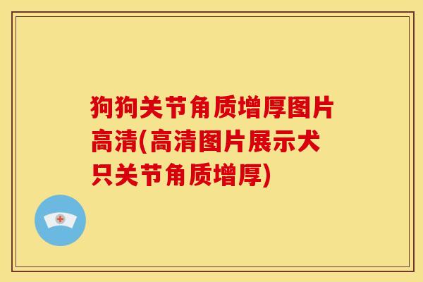 狗狗关节角质增厚图片高清(高清图片展示犬只关节角质增厚)