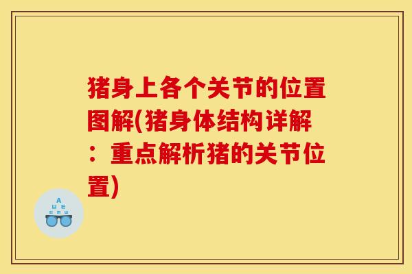 猪身上各个关节的位置图解(猪身体结构详解：重点解析猪的关节位置)