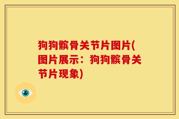 狗狗髌骨关节片图片(图片展示：狗狗髌骨关节片现象)