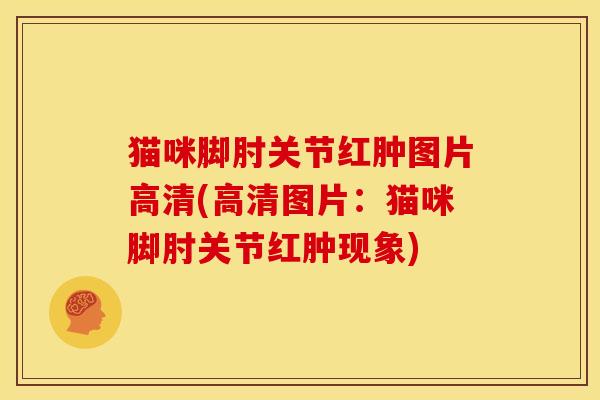 猫咪脚肘关节红肿图片高清(高清图片：猫咪脚肘关节红肿现象)