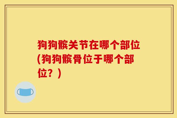 狗狗髌关节在哪个部位(狗狗髌骨位于哪个部位？)