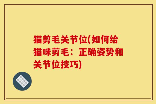 猫剪毛关节位(如何给猫咪剪毛：正确姿势和关节位技巧)