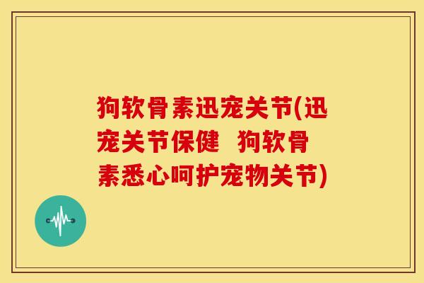 狗软骨素迅宠关节(迅宠关节保健  狗软骨素悉心呵护宠物关节)
