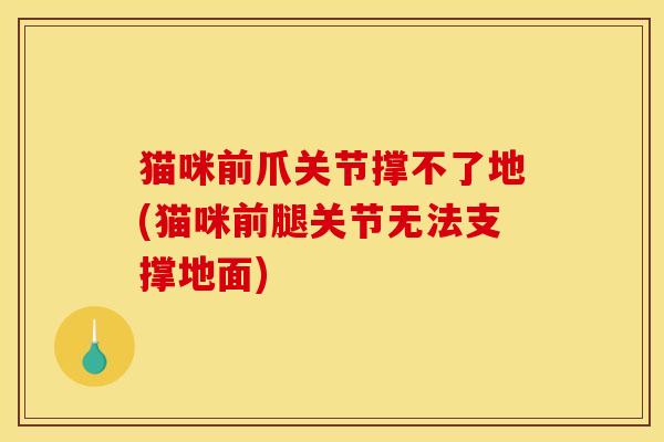 猫咪前爪关节撑不了地(猫咪前腿关节无法支撑地面)