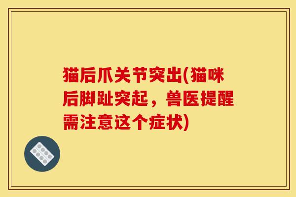 猫后爪关节突出(猫咪后脚趾突起,兽医提醒需注意这个症状) 猫后爪关节突出(猫咪后脚趾突起,兽医提醒需注意这个症状)