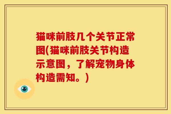 猫咪前肢几个关节正常图(猫咪前肢关节构造示意图，了解宠物身体构造需知。)