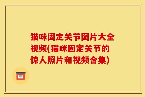 猫咪固定关节图片大全视频(猫咪固定关节的惊人照片和视频合集) 猫咪固定关节图片大全视频(猫咪固定关节的惊人照片和视频合集)