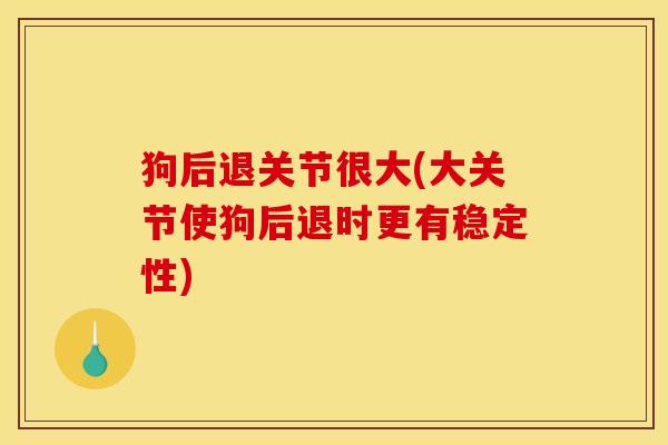 狗后退关节很大(大关节使狗后退时更有稳定性)