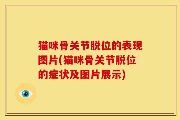 猫咪骨关节脱位的表现图片(猫咪骨关节脱位的症状及图片展示)
