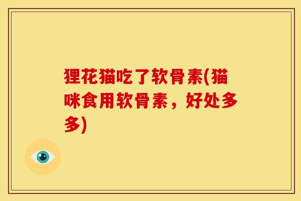 狸花猫吃了软骨素(猫咪食用软骨素，好处多多)