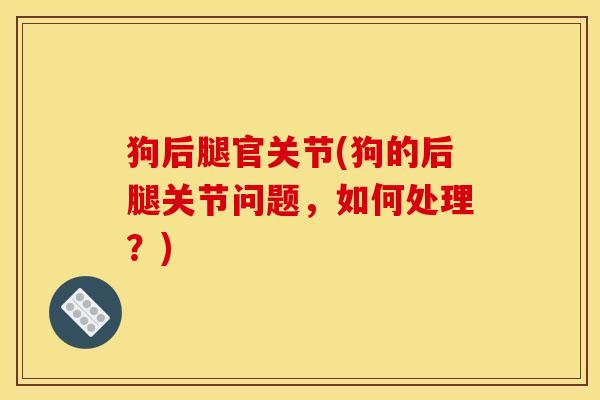 狗后腿官关节(狗的后腿关节问题，如何处理？)