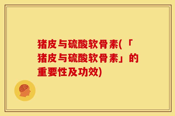 猪皮与硫酸软骨素(「猪皮与硫酸软骨素」的重要性及功效)