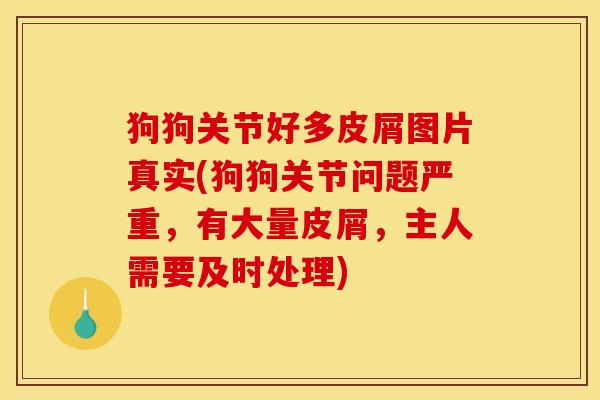 狗狗关节好多皮屑图片真实(狗狗关节问题严重，有大量皮屑，主人需要及时处理)