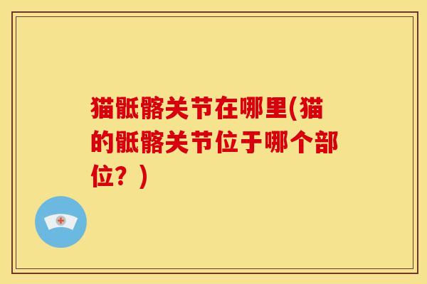 猫骶髂关节在哪里(猫的骶髂关节位于哪个部位？)