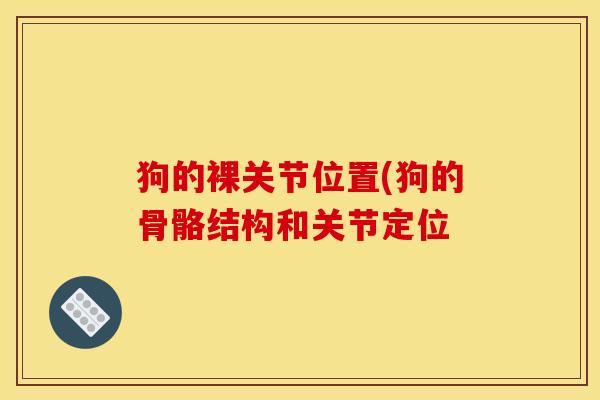 狗的裸关节位置(狗的骨骼结构和关节定位