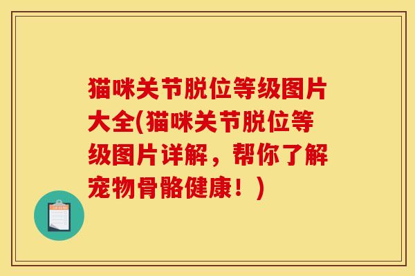 猫咪关节脱位等级图片大全(猫咪关节脱位等级图片详解，帮你了解宠物骨骼健康！)