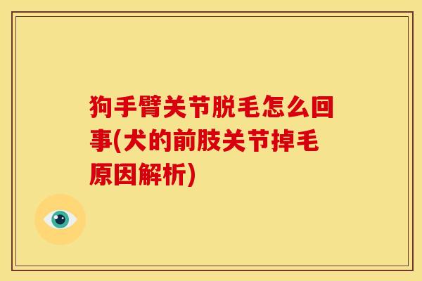 狗手臂关节脱毛怎么回事(犬的前肢关节掉毛原因解析)
