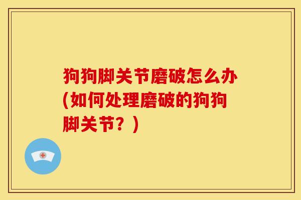 狗狗脚关节磨破怎么办(如何处理磨破的狗狗脚关节？)