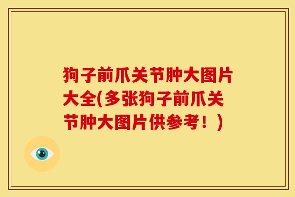 狗子前爪关节肿大图片大全(多张狗子前爪关节肿大图片供参考！)