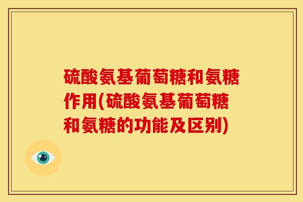 硫酸氨基葡萄糖和氨糖作用(硫酸氨基葡萄糖和氨糖的功能及区别)
