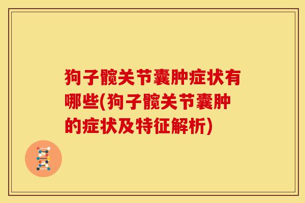 狗子髋关节囊肿症状有哪些(狗子髋关节囊肿的症状及特征解析)