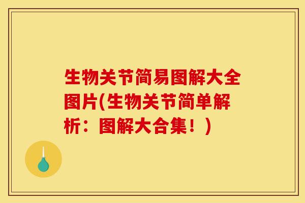 生物关节简易图解大全图片(生物关节简单解析：图解大合集！)