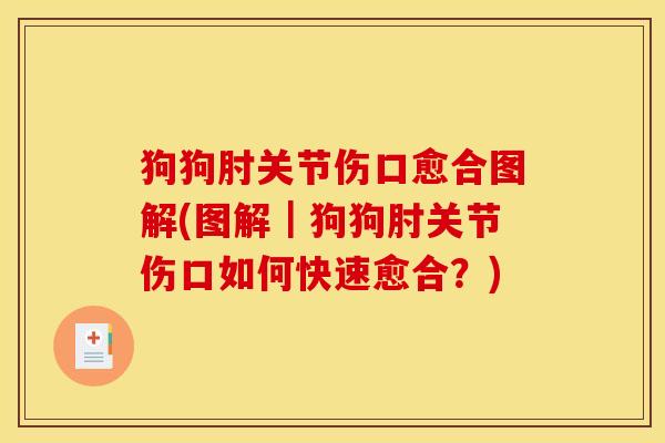 狗狗肘关节伤口愈合图解(图解｜狗狗肘关节伤口如何快速愈合？)