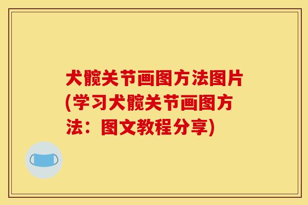 犬髋关节画图方法图片(学习犬髋关节画图方法：图文教程分享)