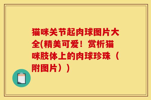 猫咪关节起肉球图片大全(精美可爱!赏析猫咪肢体上的肉球珍珠(附图片)) 猫咪关节起肉球图片大全(精美可爱!赏析猫咪肢体上的肉球珍珠(附图片))
